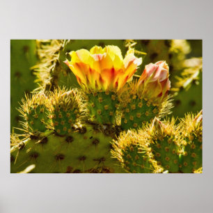 Póster Flor dourada