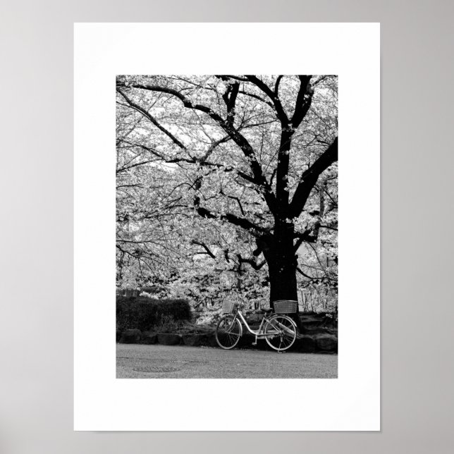 Poster Flor e Bicicleta: Japão (Frente)