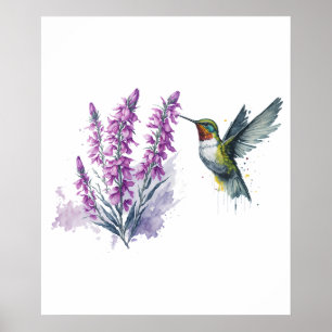 Poster Flor e Hummingbird de Penstem com Aquarela