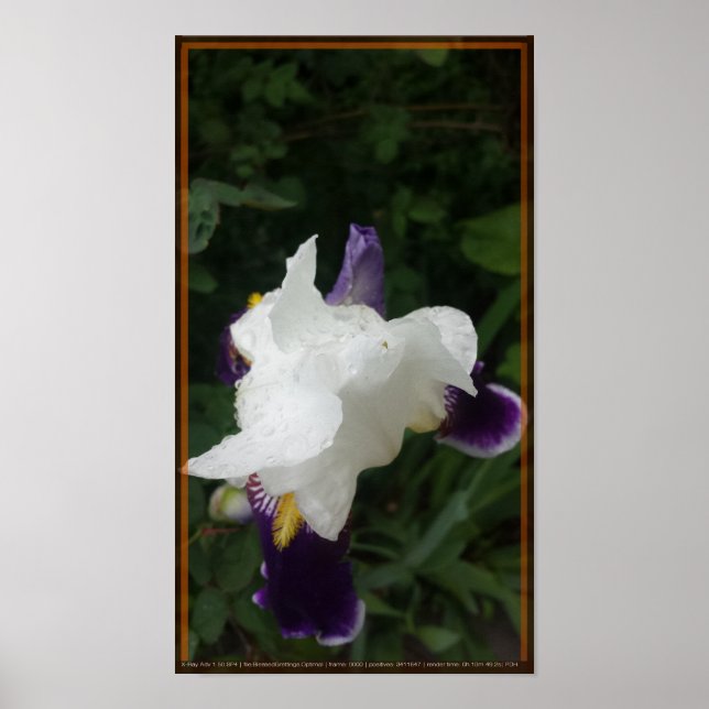 Poster Flor Epic 2 (Frente)