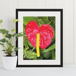 Poster Flor Fotográfico Floral Flor de Folha de Renda Ver