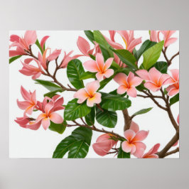 Poster Flor Frangipani Rosa