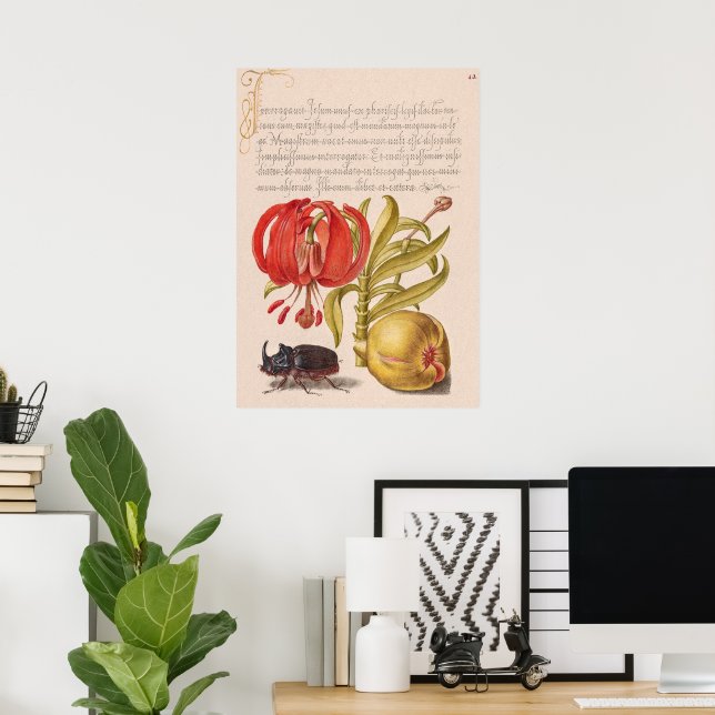 Poster Flor, Fruta e Besouro Rinoceronte de Pomegranato (Escritório em casa)