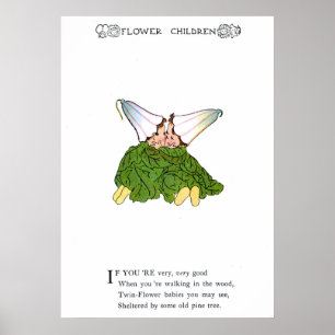 Póster Flor Gêmeo