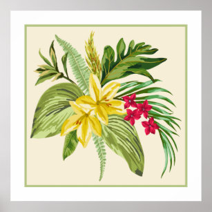 Póster Flor Havaiana Nativa Hibiscus