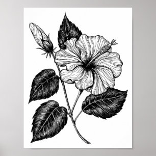 Poster Flor Hibiscus II