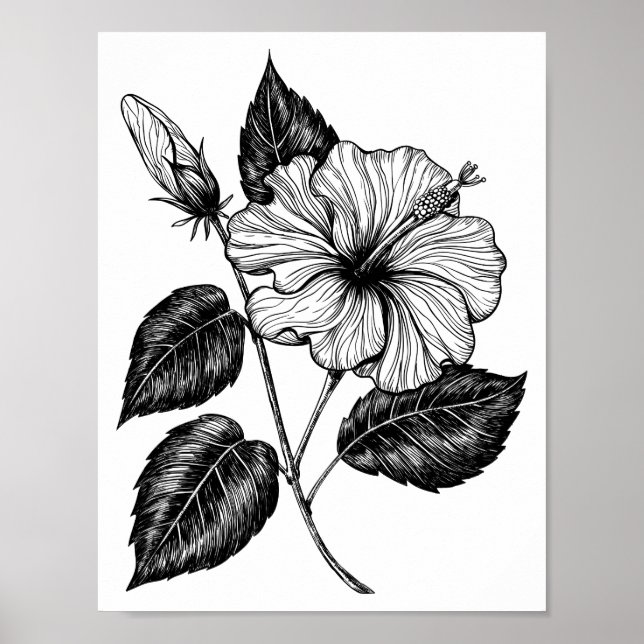 Poster Flor Hibiscus II (Frente)