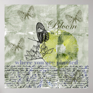 Póster Flor inspirada da borboleta