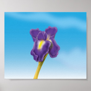 Póster Flor Iris