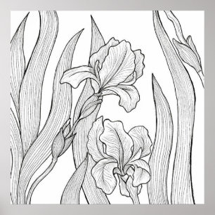 Poster Flor íris projetada com tinta preta