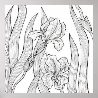 Poster Flor íris projetada com tinta preta