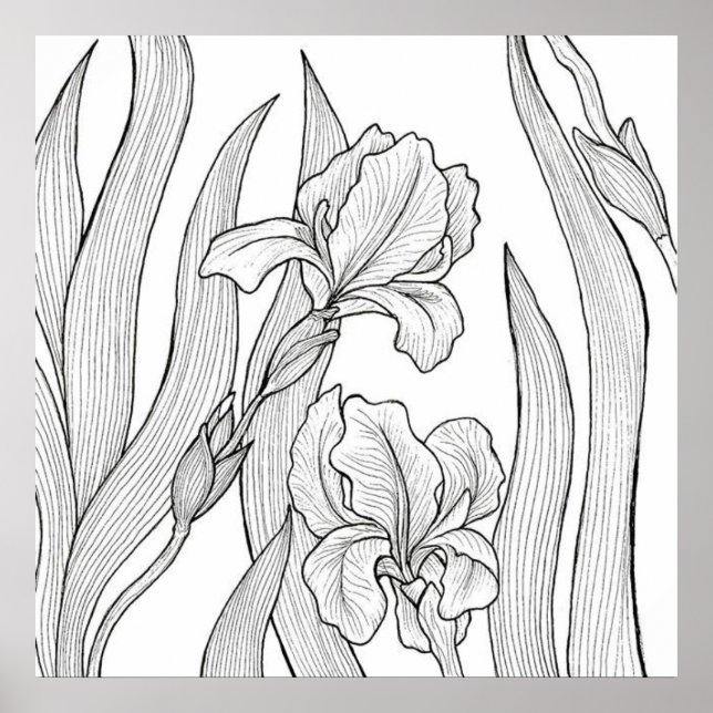 Poster Flor íris projetada com tinta preta (Frente)