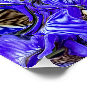 Póster Flor Íris Roxo/Inclinado/Com Teles /