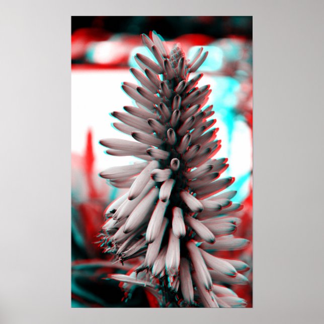 Póster Flor Louco 3D (Frente)