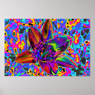 Póster Flor multicolor