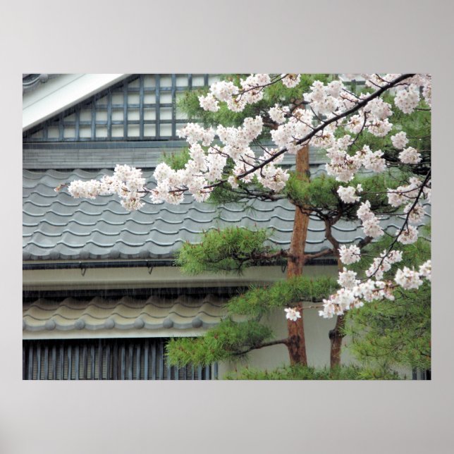 Póster Flor na Chuva (Frente)