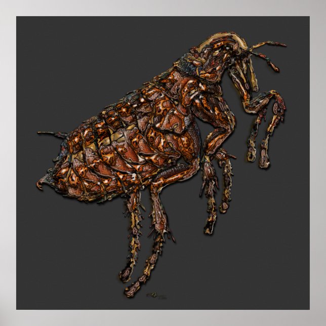 Poster Flor na Cinza (Frente)