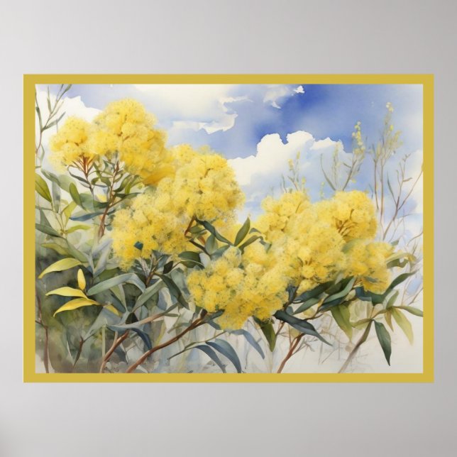 Poster Flor Nacional Austrália Ouro Wattle | (Frente)
