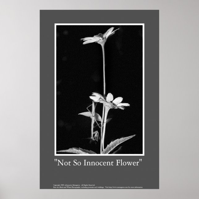 Póster Flor não tão inocente (Frente)