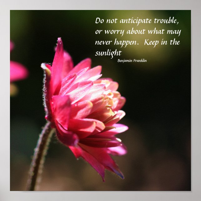 Póster Flor no Sun Inner Peace Cote Inspiracional (Frente)