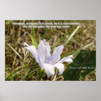 Poster Flor - Nova Criação