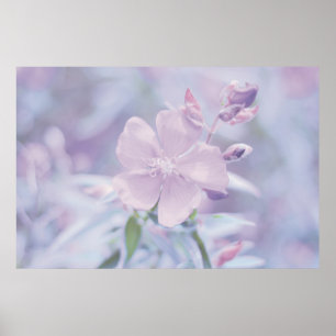 Poster Flor Pastel