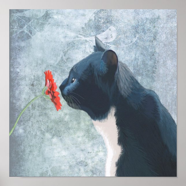 Póster Flor Preta de Cheiro de Gato (Frente)