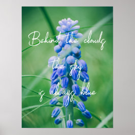 Poster Flor primavera (Hyacinth de Uvas)