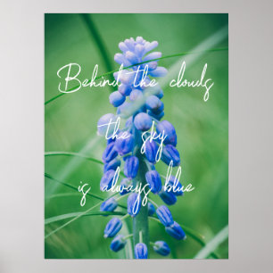 Poster Flor primavera (Hyacinth de Uvas)