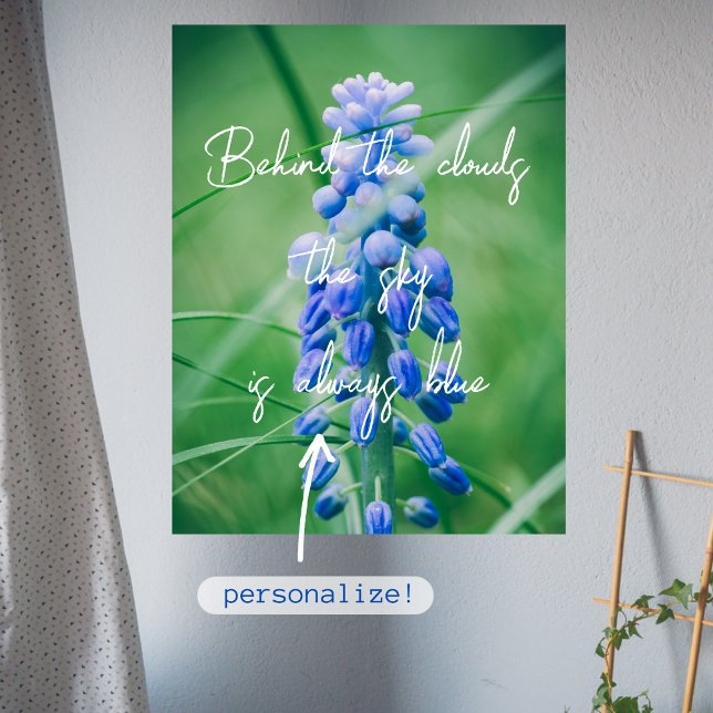 Poster Flor primavera (Hyacinth de Uvas) (Criador carregado)
