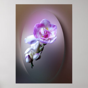 Poster flor rosa da freesia