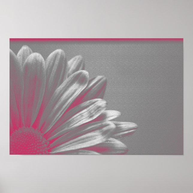 Póster Flor Rosa Realçada (Frente)