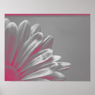 Póster Flor Rosa Realçada