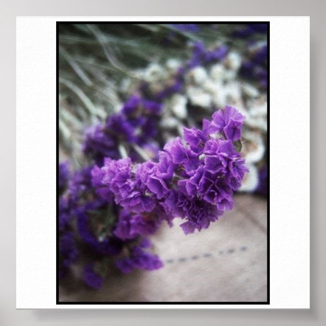 Poster Flor Roxo (Frente)