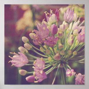 Póster Flor Roxo bonito