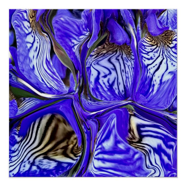 Póster Flor Roxo-Íris (Frente)