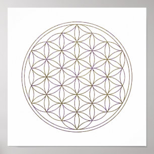 Poster Flor sagrado da geometria da vida (V-Beringela)