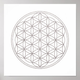 Poster Flor sagrado da geometria da vida (V-Fumo)