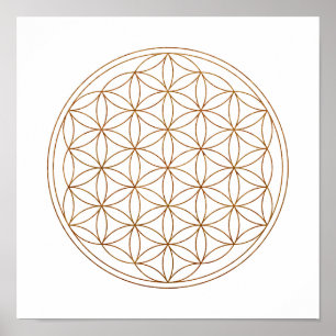 Póster Flor sagrado da geometria da vida (V-Henna)