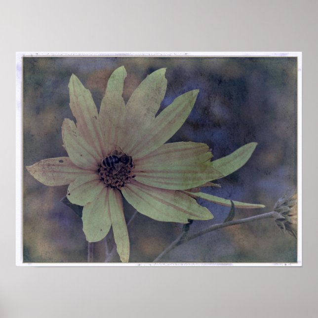 Poster Flor selvagem e abelha (Frente)