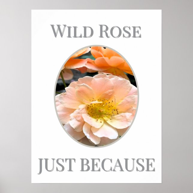 Poster Flor Silvestre em Flor (Frente)