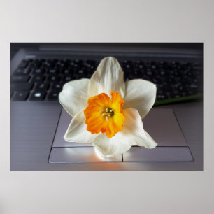 Poster Flor sobre teclado