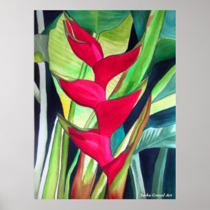 Póster Flor tropical da aguarela de Heliconia da garra da