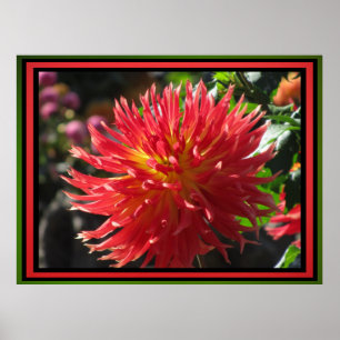 Póster Flor vermelha