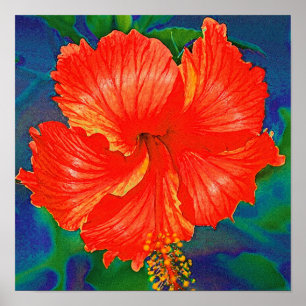 Póster Flor vermelha do hibiscus