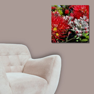 Póster Flor Vermelho de Árvore Pohutukawa, Nova Zelândia