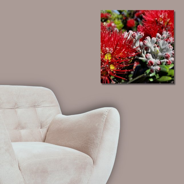 Póster Flor Vermelho de Árvore Pohutukawa, Nova Zelândia (New Zealand Pohutukawa Tree Red Blossom Poster, Living Room)