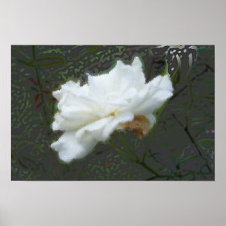 Poster Flor Zen