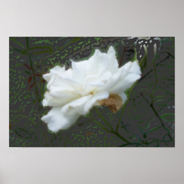 Poster Flor Zen (Frente)