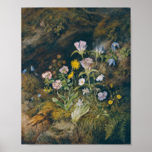 Poster Flora alpina   Theodor Petter